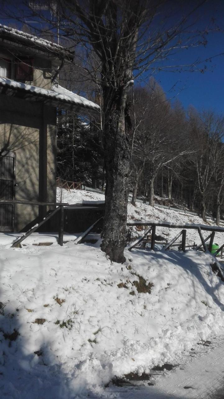 B&B Bucaneve Abetone Exterior foto